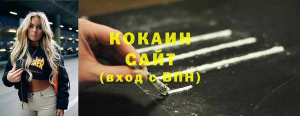 индика Нефтегорск