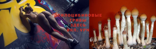 индика Нефтегорск
