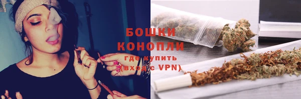 индика Нефтегорск