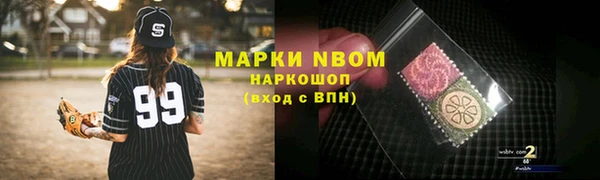 индика Нефтегорск