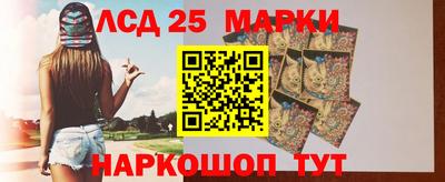 МДПВ Донецк