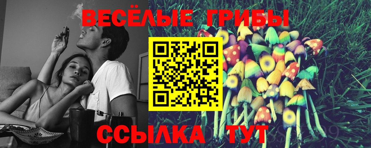 Галлюциногенные грибы прущие грибы Кубинка