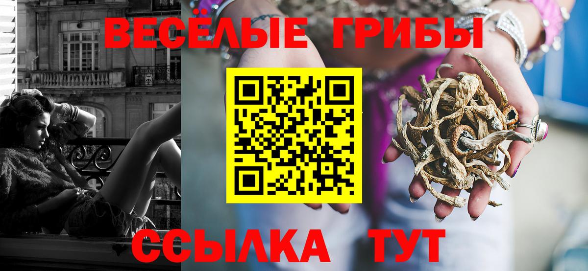 Галлюциногенные грибы MAGIC MUSHROOMS  Вход с VPN  Кубинка 